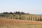 Vignerons Italie à la coopérative de vins du chianti à San Cascino Val de Pesa