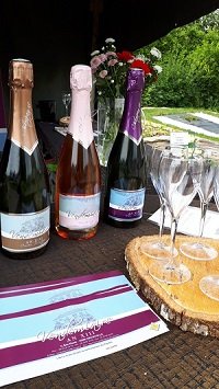 vins du domaine de vendemiaire champagne,