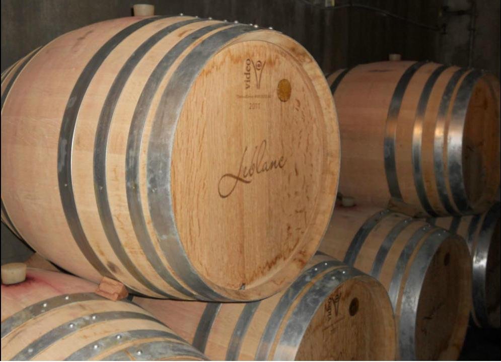 Vignerons France dégustation vins