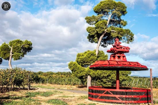 domaine du brescou vignoble du languedoc, Vignerons France dégustation vins