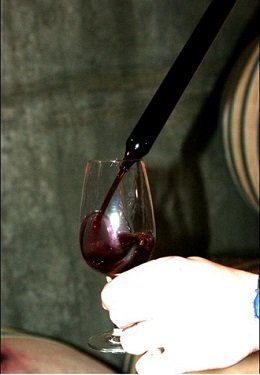 Vignerons France dégustation vins