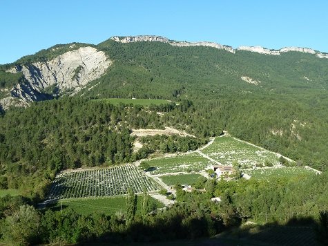 Cave Long Clairette de Die Vallée de la Drôme, Vignerons France dégustation vins