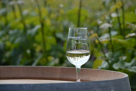 vin du pays nantais domaine de la tourette, Vignerons France dégustation vins
