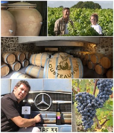 château Lousteauneuf des vins à découvrir dans le Haut Médoc