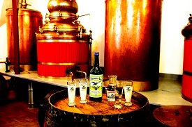 Distillerie Guy Pontarlier, Absinthe, liqueurs, eaux de vie, apéritifs