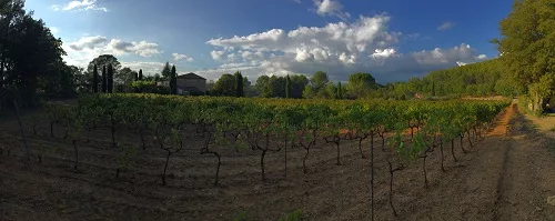 Domaine du clos d'Alari vins de Provence