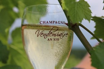 Champagne Vendemiaire