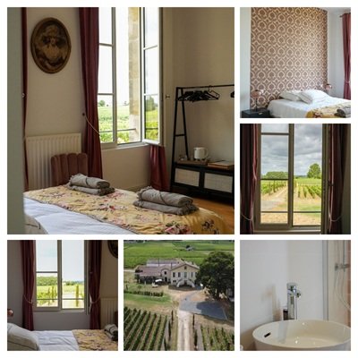 Vignerons France, dégustations vins