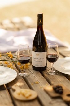 Vignerons dégustations vins France