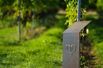 Vignobles Ardennes