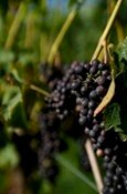 Domaine en Belgique
