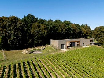 Vignoble en Belgique