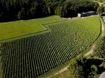 Vignobles en Belgique