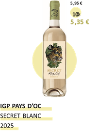 vins GP