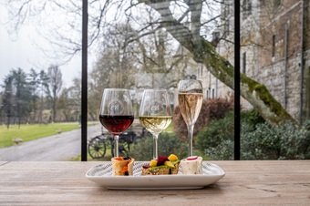 Vignerons en Belgique, château de Bioul